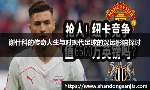 谢什科的传奇人生与对现代足球的深远影响探讨