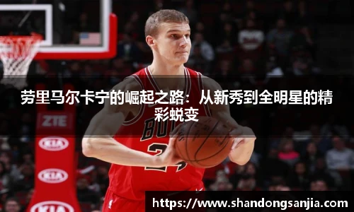 劳里马尔卡宁的崛起之路：从新秀到全明星的精彩蜕变